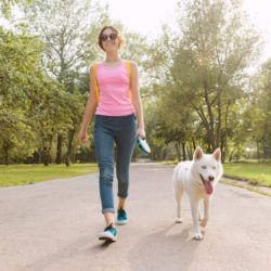 dog-friendly walk in the park