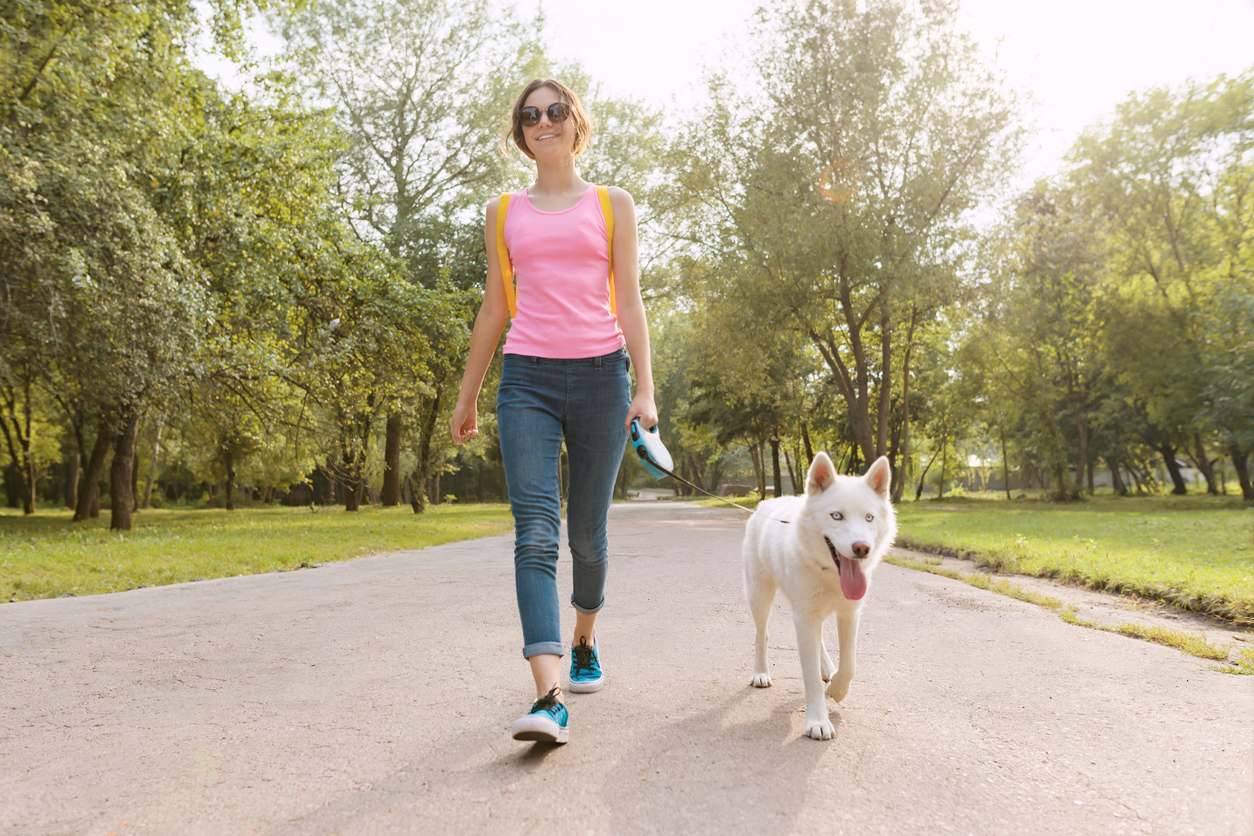 dog-friendly walk in the park